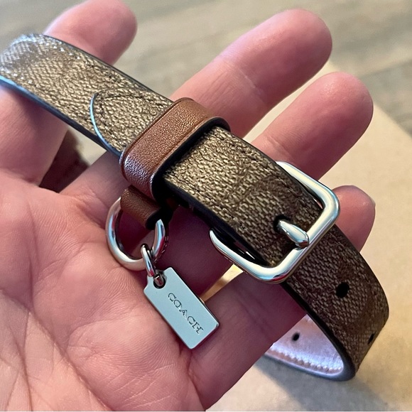 Coach Dog Coach Boxed Small Pet Collar In Signature Canvas Silver